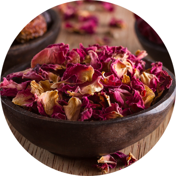 Nourishing Beauty, Inspired by Nature
