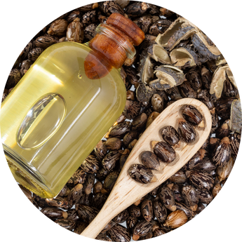 Nourishing Beauty, Inspired by Nature